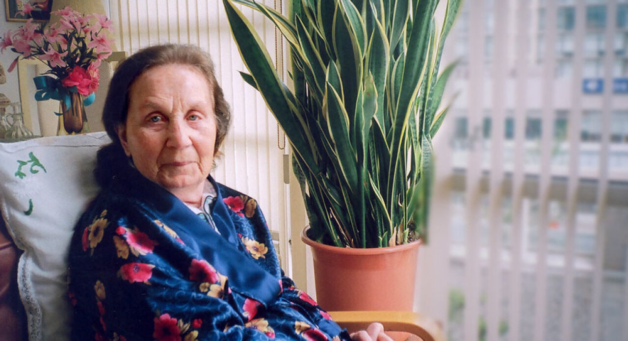 Een oude vrouw zit bij het raam naast een sansevieria en kijkt in de camera, ze lacht niet, maar kijkt bedenkelijk. Foto: Vince Alongi.